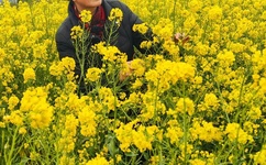 十分钟免费观看在线大全直播